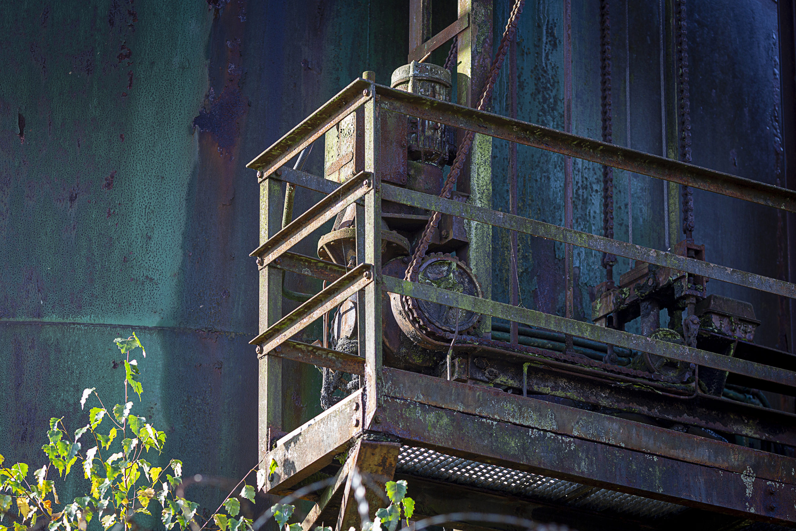_Y0A2942_LR